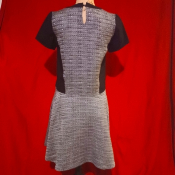 Madewell Textured "Tribune" Dress - Picture 3 of 11
